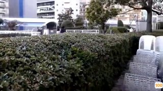 菲菲影视城在线观看电视中文字幕一区二区三区完整版在线观看🔞中文字幕一区二区三区